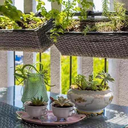 Sunset Oasis “velly” 1br W/ Sea View & Parking Daire